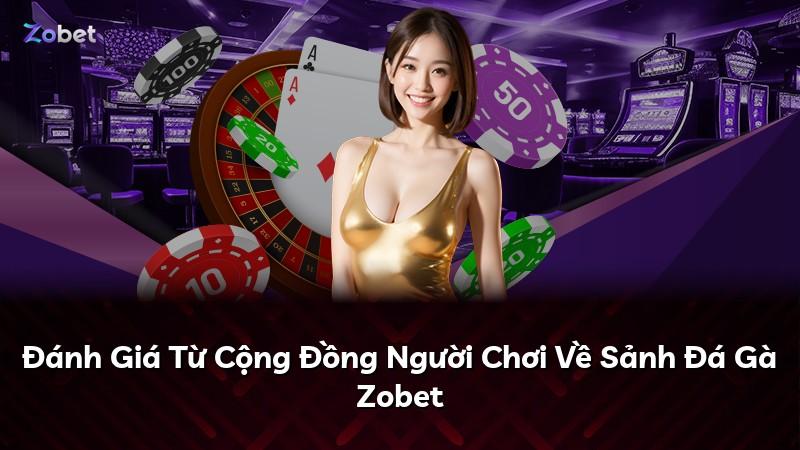 Đánh Giá Từ Cộng Đồng Người Chơi Về Sảnh Đá Gà Zobet