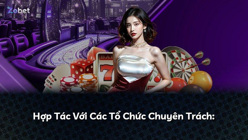 Hợp Tác Với Các Tổ Chức Chuyên Trách: